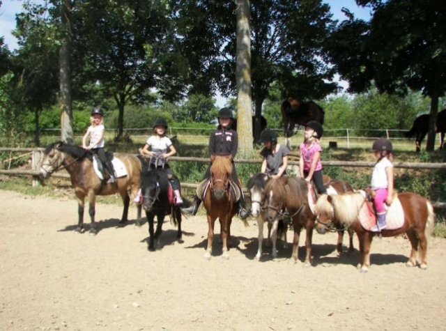 Poney club en Meurthe et Moselle